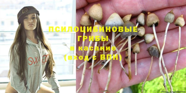 каннабис Абаза