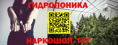 ГАЛЛЮЦИНОГЕННЫЕ ГРИБЫ Пугачёв