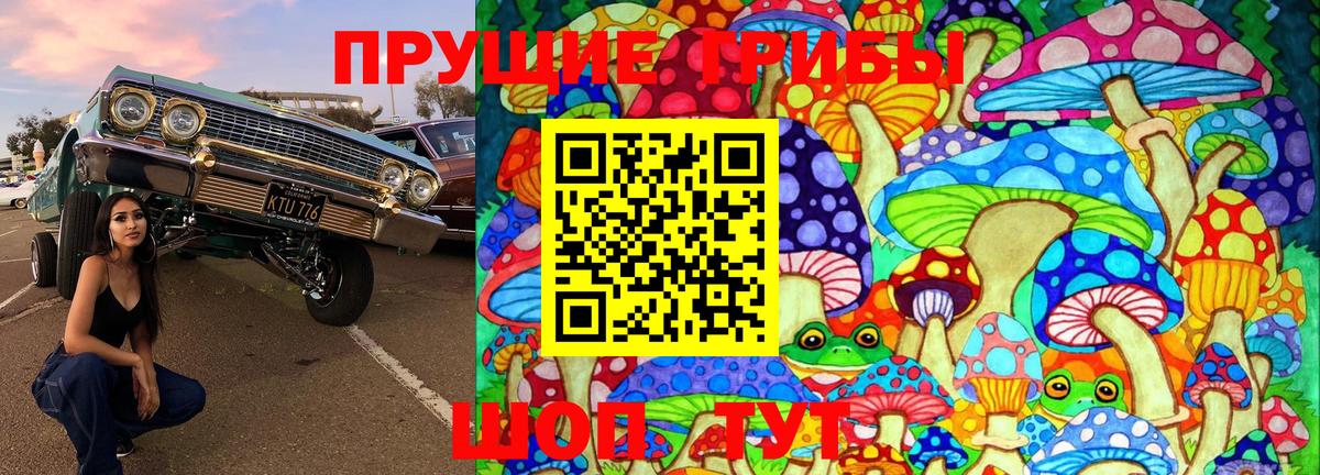 Галлюциногенные грибы GOLDEN TEACHER  Вход с VPN  Тихорецк 
